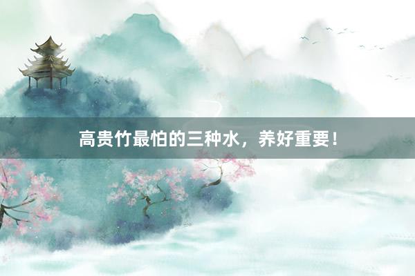 高贵竹最怕的三种水，养好重要！