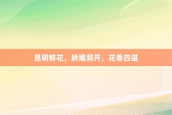 昆明鲜花，娇媚洞开，花香四溢