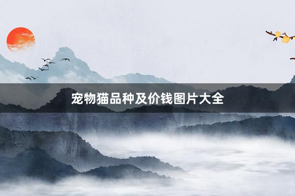 宠物猫品种及价钱图片大全