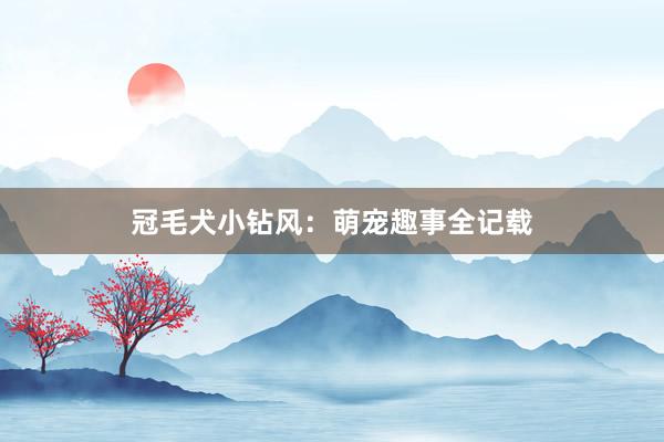 冠毛犬小钻风：萌宠趣事全记载