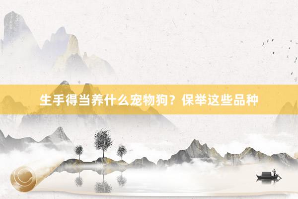 生手得当养什么宠物狗？保举这些品种