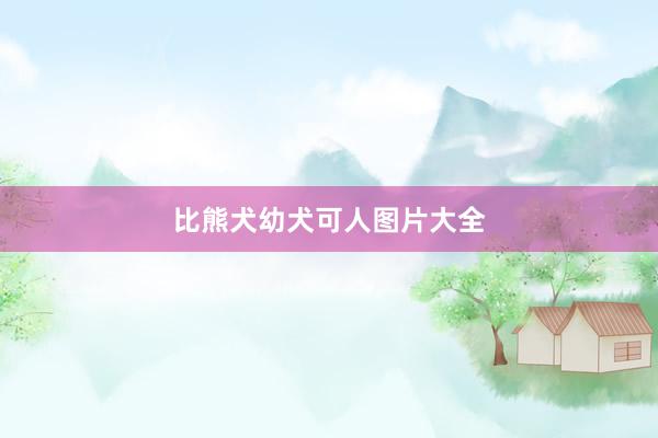 比熊犬幼犬可人图片大全
