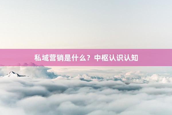 私域营销是什么？中枢认识认知